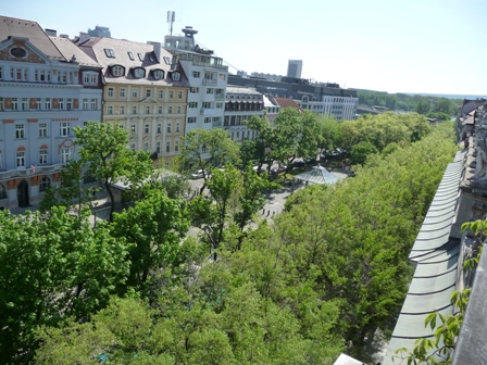 P1080447a.jpg