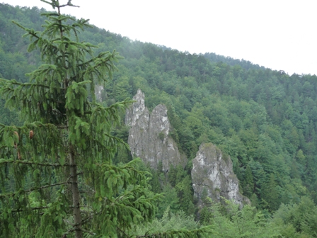 P1100009a.jpg