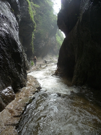 P1100048a.jpg