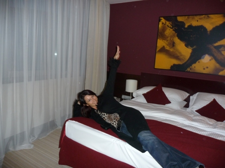 v ziline v holliday inn